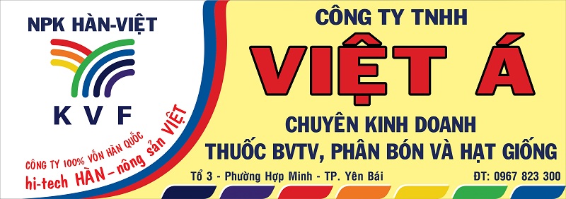 Làm biển hãng phân bón Hàn Việt tại Miền Bắc
